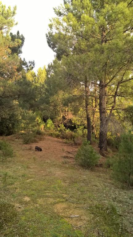 Gite Du Puy Saint-Fortunat-sur-Eyrieux Bagian luar foto